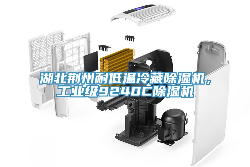 湖北荊州耐低溫冷藏除濕機，工業(yè)級9240C除濕機