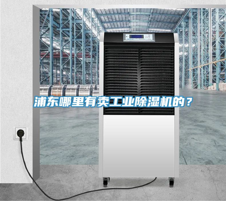 浦東哪里有賣(mài)工業(yè)除濕機(jī)的？