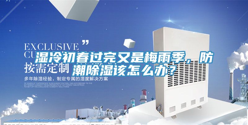 濕冷初春過完又是梅雨季，防潮除濕該怎么辦？