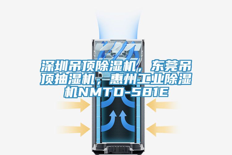 深圳吊頂除濕機(jī)，東莞吊頂抽濕機(jī)，惠州工業(yè)除濕機(jī)NMTD-581E