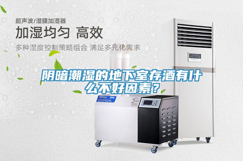 陰暗潮濕的地下室存酒有什么不好因素？