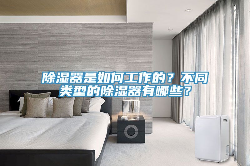 除濕器是如何工作的？不同類型的除濕器有哪些？
