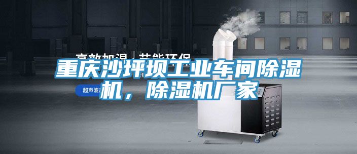 重慶沙坪壩工業(yè)車間除濕機，除濕機廠家