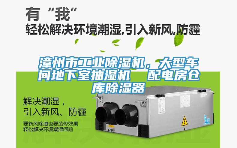 漳州市工業(yè)除濕機(jī)，大型車間地下室抽濕機(jī)  配電房倉庫除濕器
