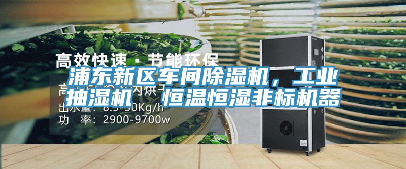 浦東新區(qū)車(chē)間除濕機(jī)，工業(yè)抽濕機(jī)  恒溫恒濕非標(biāo)機(jī)器