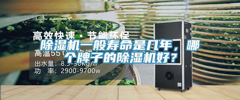 除濕機一般壽命是幾年，哪個牌子的除濕機好？