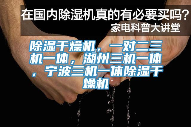 除濕干燥機(jī)，一對(duì)二三機(jī)一體，湖州三機(jī)一體，寧波三機(jī)一體除濕干燥機(jī)