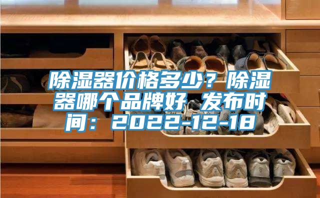 除濕器價格多少？除濕器哪個品牌好 發(fā)布時間：2022-12-18