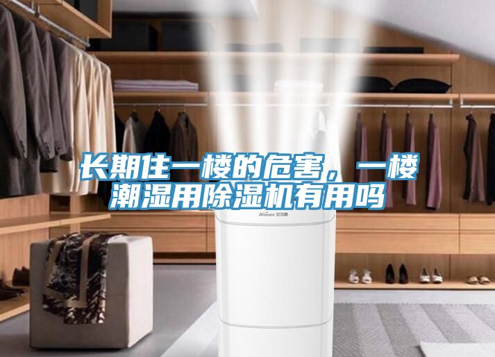 長期住一樓的危害，一樓潮濕用除濕機(jī)有用嗎