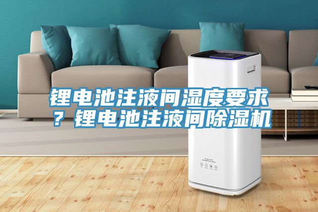 鋰電池注液間濕度要求？鋰電池注液間除濕機(jī)