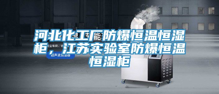 河北化工廠防爆恒溫恒濕柜，江蘇實(shí)驗(yàn)室防爆恒溫恒濕柜