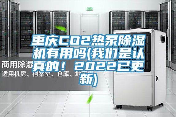 重慶CO2熱泵除濕機有用嗎(我們是認真的！2022已更新)