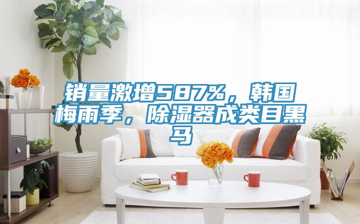銷量激增587%，韓國梅雨季，除濕器成類目黑馬