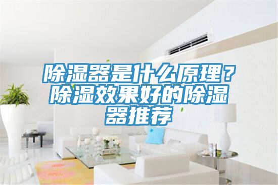 除濕器是什么原理？除濕效果好的除濕器推薦
