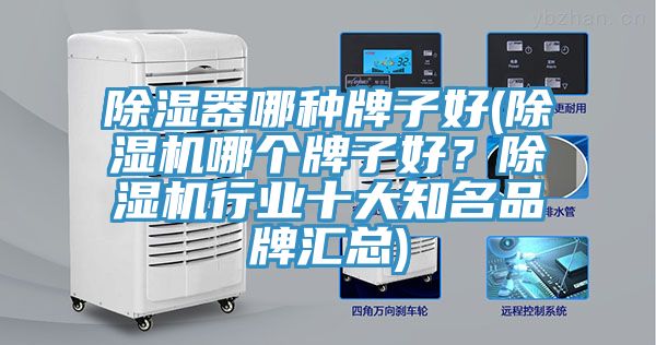 除濕器哪種牌子好(除濕機(jī)哪個牌子好？除濕機(jī)行業(yè)十大知名品牌匯總)