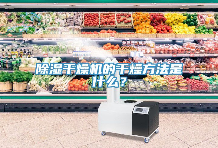 除濕干燥機(jī)的干燥方法是什么？