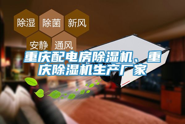 重慶配電房除濕機(jī)、重慶除濕機(jī)生產(chǎn)廠家