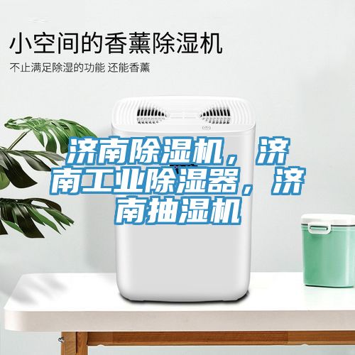 濟(jì)南除濕機(jī)，濟(jì)南工業(yè)除濕器，濟(jì)南抽濕機(jī)