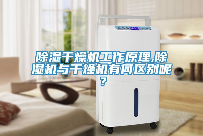 除濕干燥機(jī)工作原理,除濕機(jī)與干燥機(jī)有何區(qū)別呢？