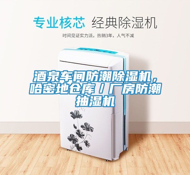 酒泉車(chē)間防潮除濕機(jī)，哈密地倉(cāng)庫(kù)／廠(chǎng)房防潮抽濕機(jī)