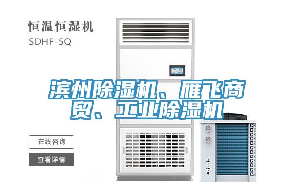 濱州除濕機(jī)、雁飛商貿(mào)、工業(yè)除濕機(jī)