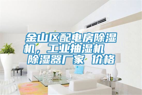 金山區(qū)配電房除濕機，工業(yè)抽濕機  除濕器廠家 價格