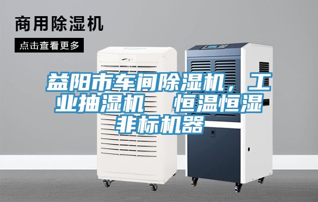 益陽市車間除濕機(jī)，工業(yè)抽濕機(jī)  恒溫恒濕非標(biāo)機(jī)器