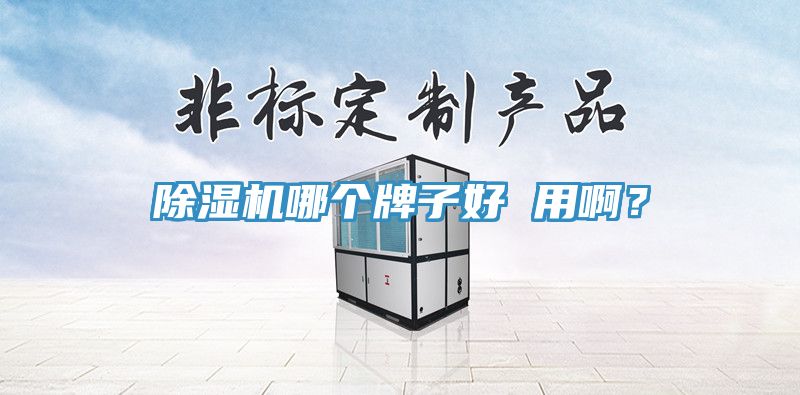 除濕機(jī)哪個(gè)牌子好 用?。?></div>
								<div   id=