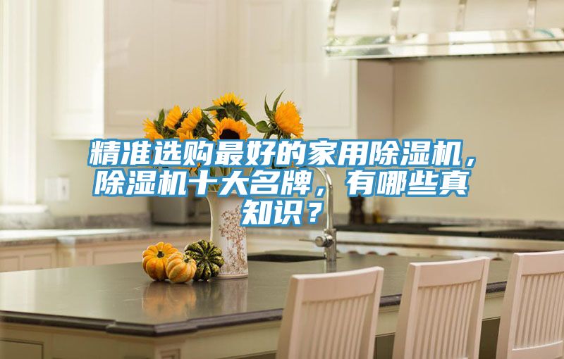 精準選購最好的家用除濕機，除濕機十大名牌，有哪些真知識？
