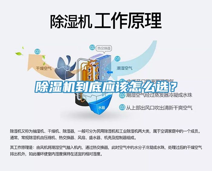 除濕機到底應該怎么選？