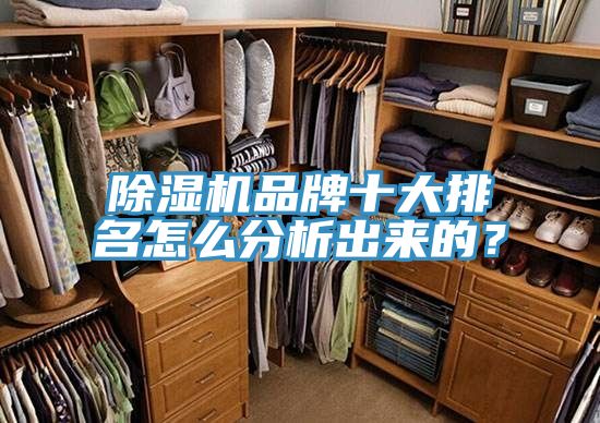 除濕機(jī)品牌十大排名怎么分析出來(lái)的？