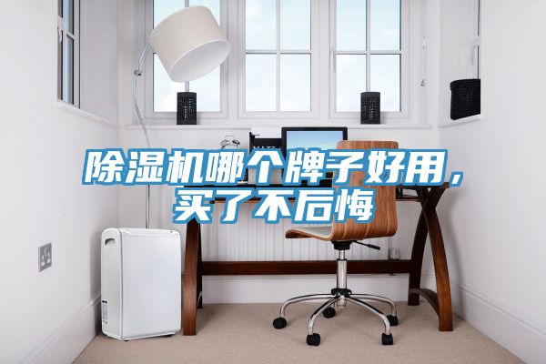 除濕機哪個牌子好用，買了不后悔