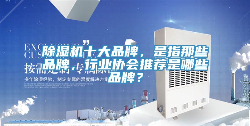 除濕機(jī)十大品牌，是指那些品牌，行業(yè)協(xié)會(huì)推薦是哪些品牌？
