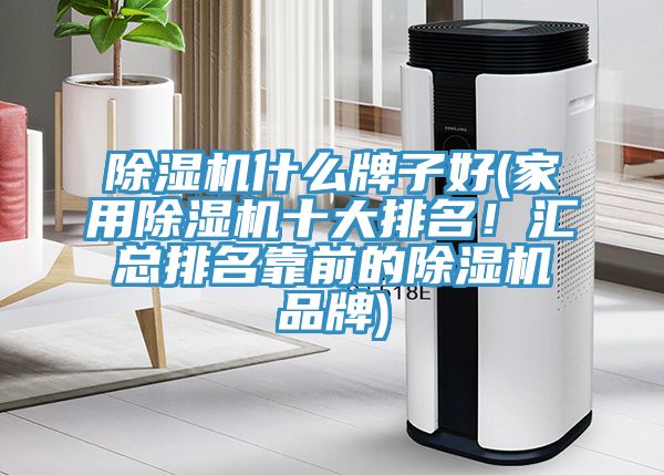 除濕機(jī)什么牌子好(家用除濕機(jī)十大排名！匯總排名靠前的除濕機(jī)品牌)