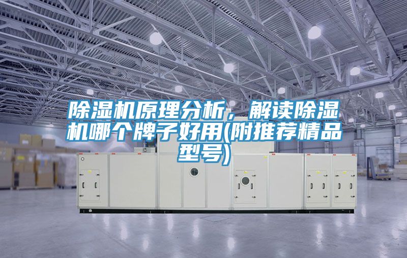 除濕機(jī)原理分析，解讀除濕機(jī)哪個(gè)牌子好用(附推薦精品型號(hào))