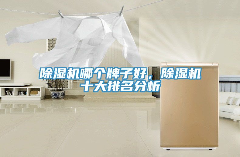 除濕機哪個牌子好，除濕機十大排名分析