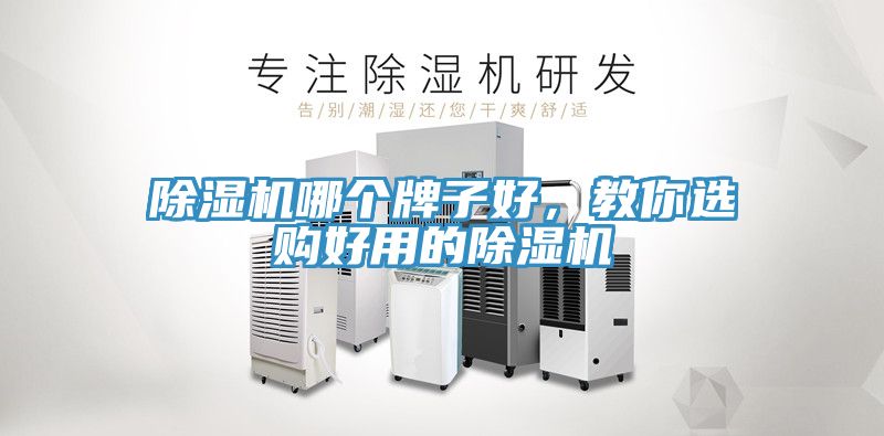 除濕機哪個牌子好，教你選購好用的除濕機