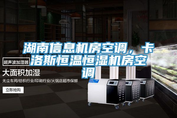 湖南信息機(jī)房空調(diào)，卡洛斯恒溫恒濕機(jī)房空調(diào)