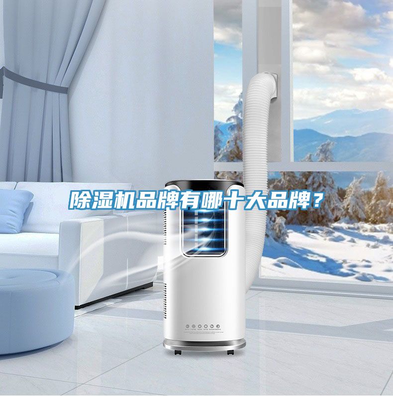 除濕機品牌有哪十大品牌？