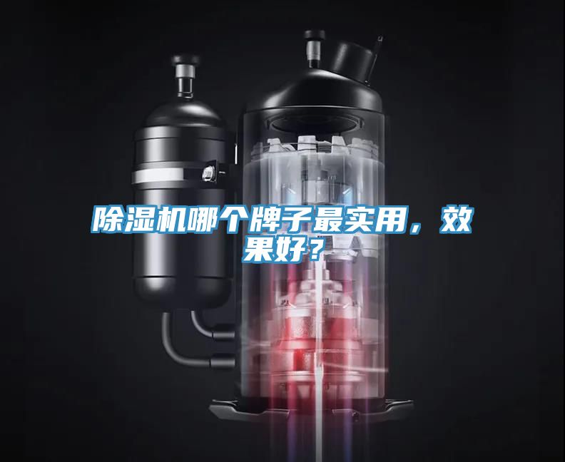 除濕機(jī)哪個(gè)牌子最實(shí)用，效果好？
