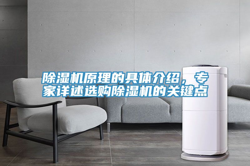 除濕機(jī)原理的具體介紹，專家詳述選購(gòu)除濕機(jī)的關(guān)鍵點(diǎn)