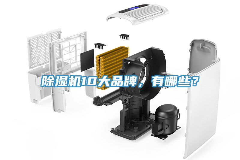 除濕機(jī)10大品牌，有哪些？