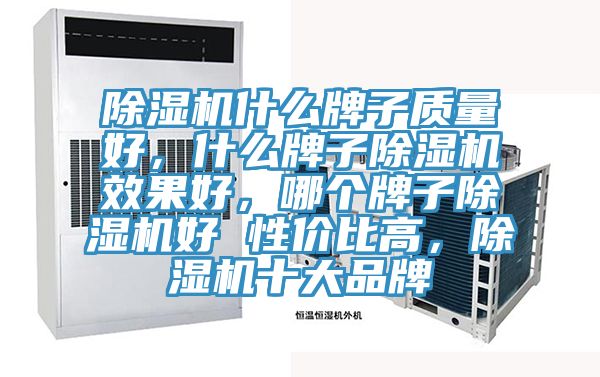 除濕機(jī)什么牌子質(zhì)量好，什么牌子除濕機(jī)效果好，哪個牌子除濕機(jī)好 性價比高，除濕機(jī)十大品牌