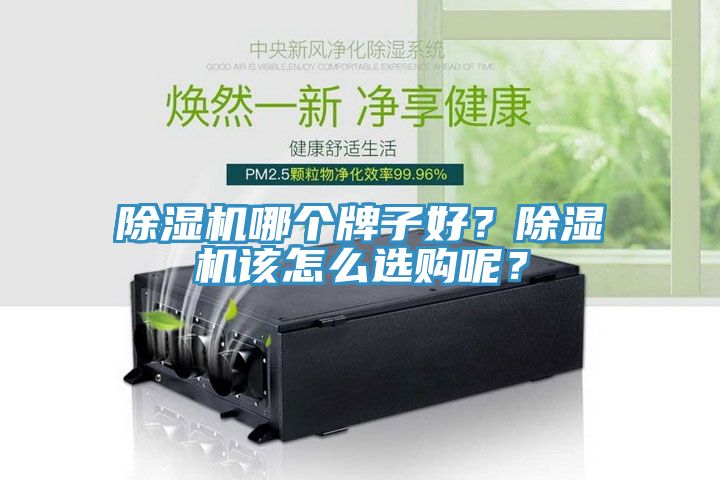 除濕機(jī)哪個牌子好？除濕機(jī)該怎么選購呢？