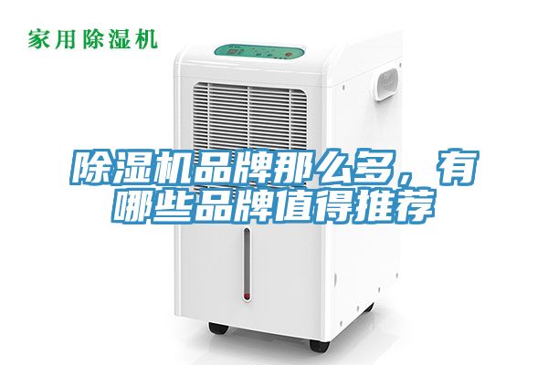 除濕機品牌那么多，有哪些品牌值得推薦