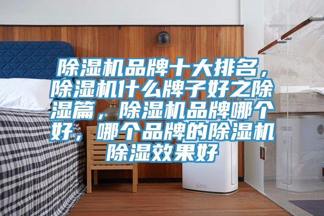 除濕機品牌十大排名，除濕機什么牌子好之除濕篇，除濕機品牌哪個好，哪個品牌的除濕機除濕效果好
