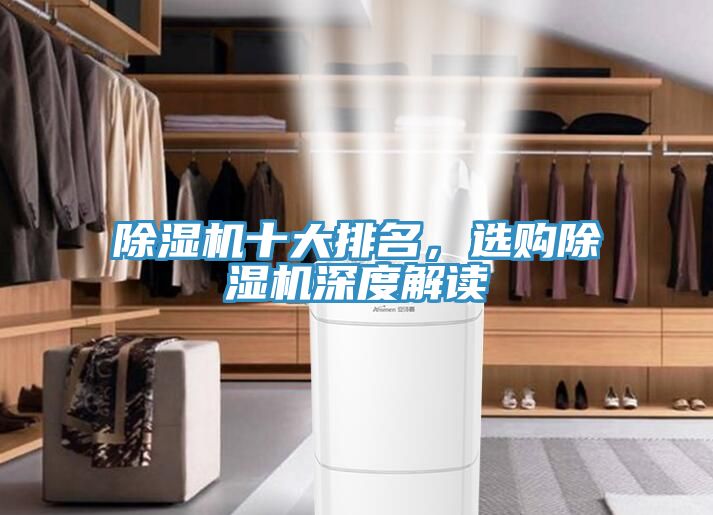 除濕機(jī)十大排名，選購除濕機(jī)深度解讀