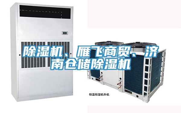 除濕機、雁飛商貿(mào)、濟(jì)南倉儲除濕機