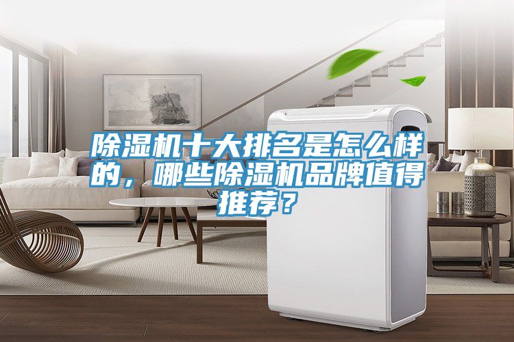 除濕機(jī)十大排名是怎么樣的，哪些除濕機(jī)品牌值得推薦？