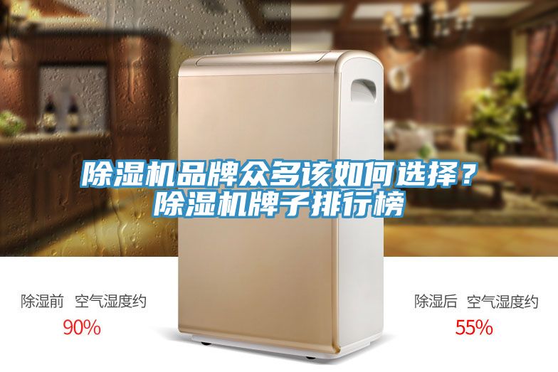 除濕機(jī)品牌眾多該如何選擇？除濕機(jī)牌子排行榜